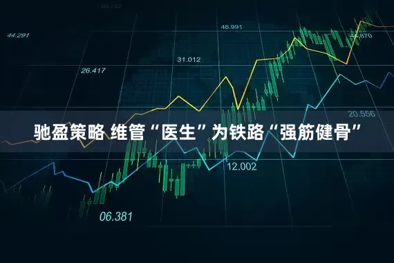 驰盈策略 维管“医生”为铁路“强筋健骨”