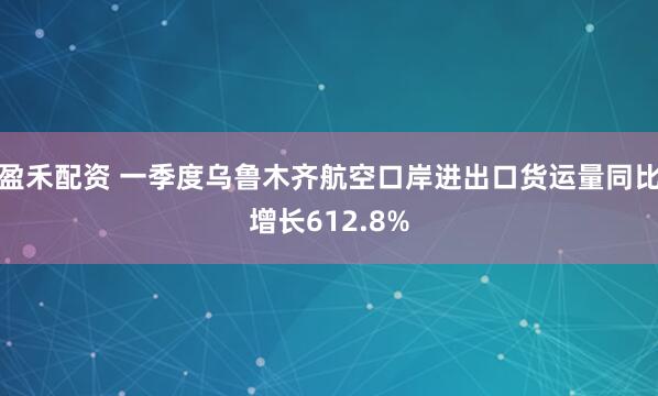 盈禾配资 一季度乌鲁木齐航空口岸进出口货运量同比增长612.8%